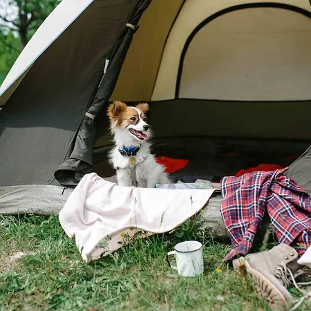 Pirineos Jacetania 3000 Camping