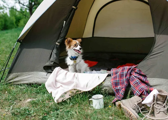 Camping Pirineos Jacetania 3000 Camping